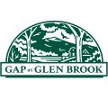 Gap Program Director